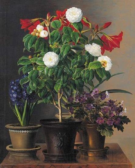 Johan Laurentz Jensen Camelias, amaryllis, hyacinth and violets in ornamental pots on a marble ledge Norge oil painting art